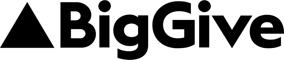 The Big Give logo