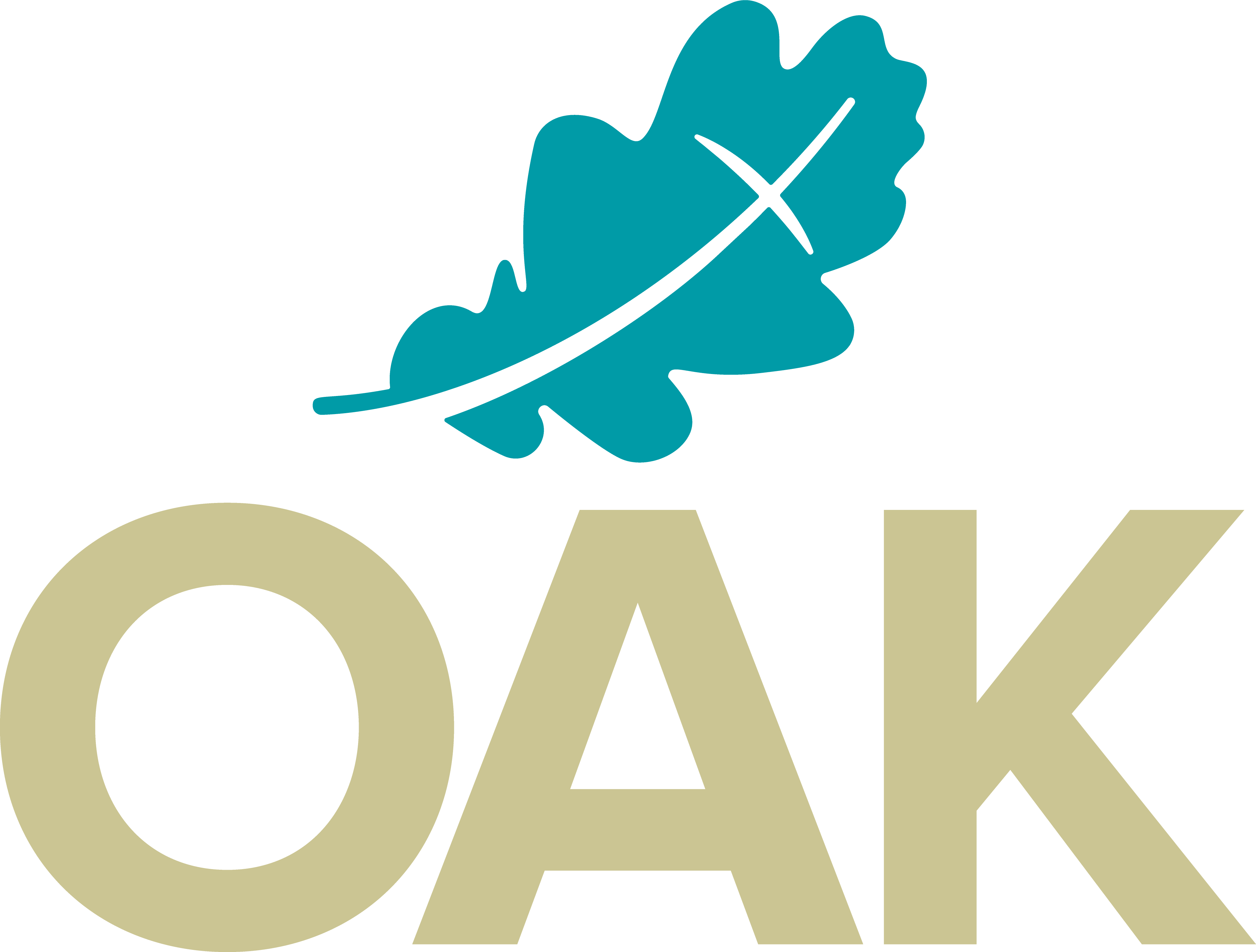OAKonsult logo